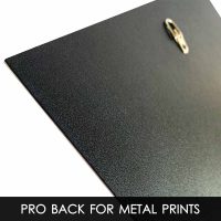 metal_back_pro